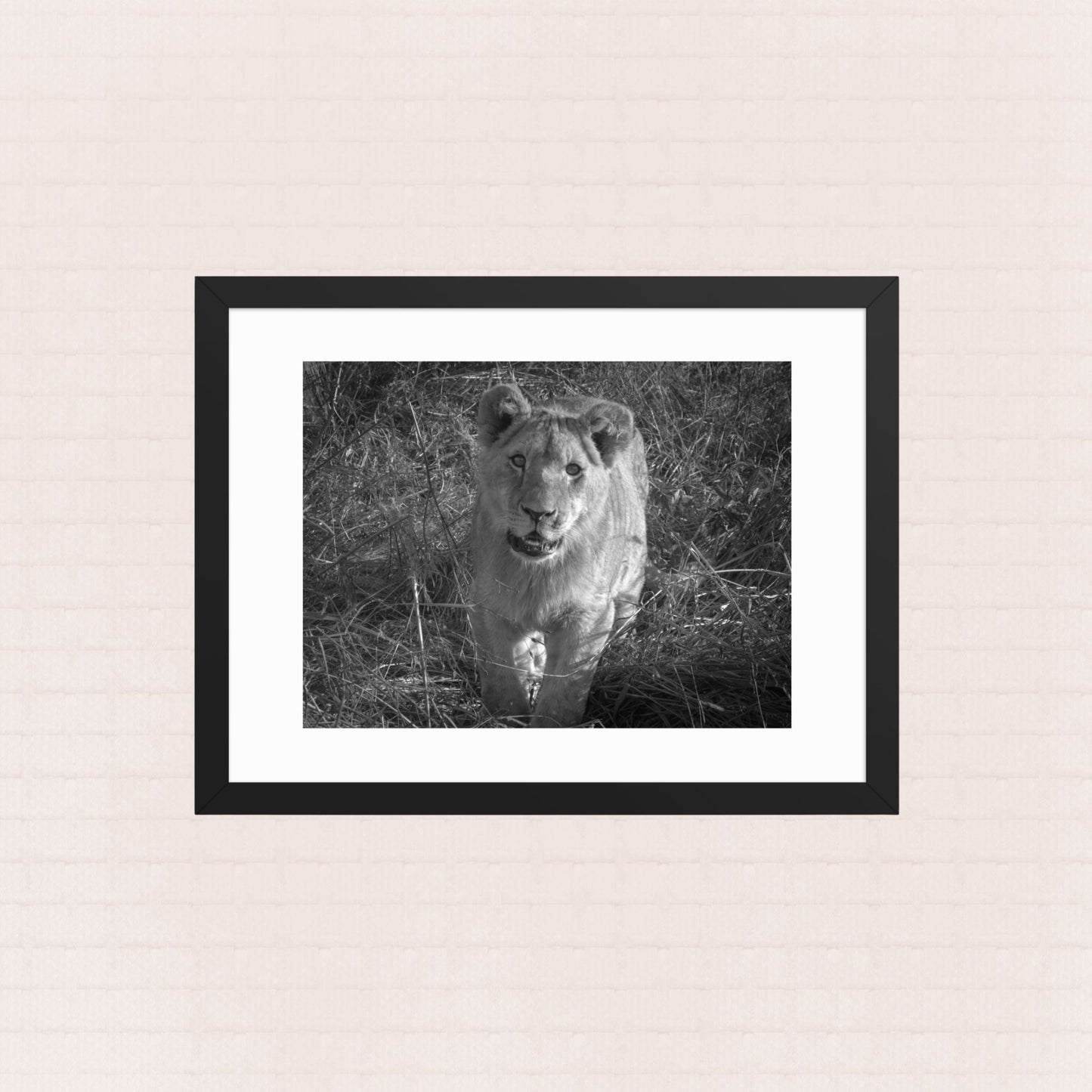 The Unyielding Adolescent- Framed Wildlife Poster