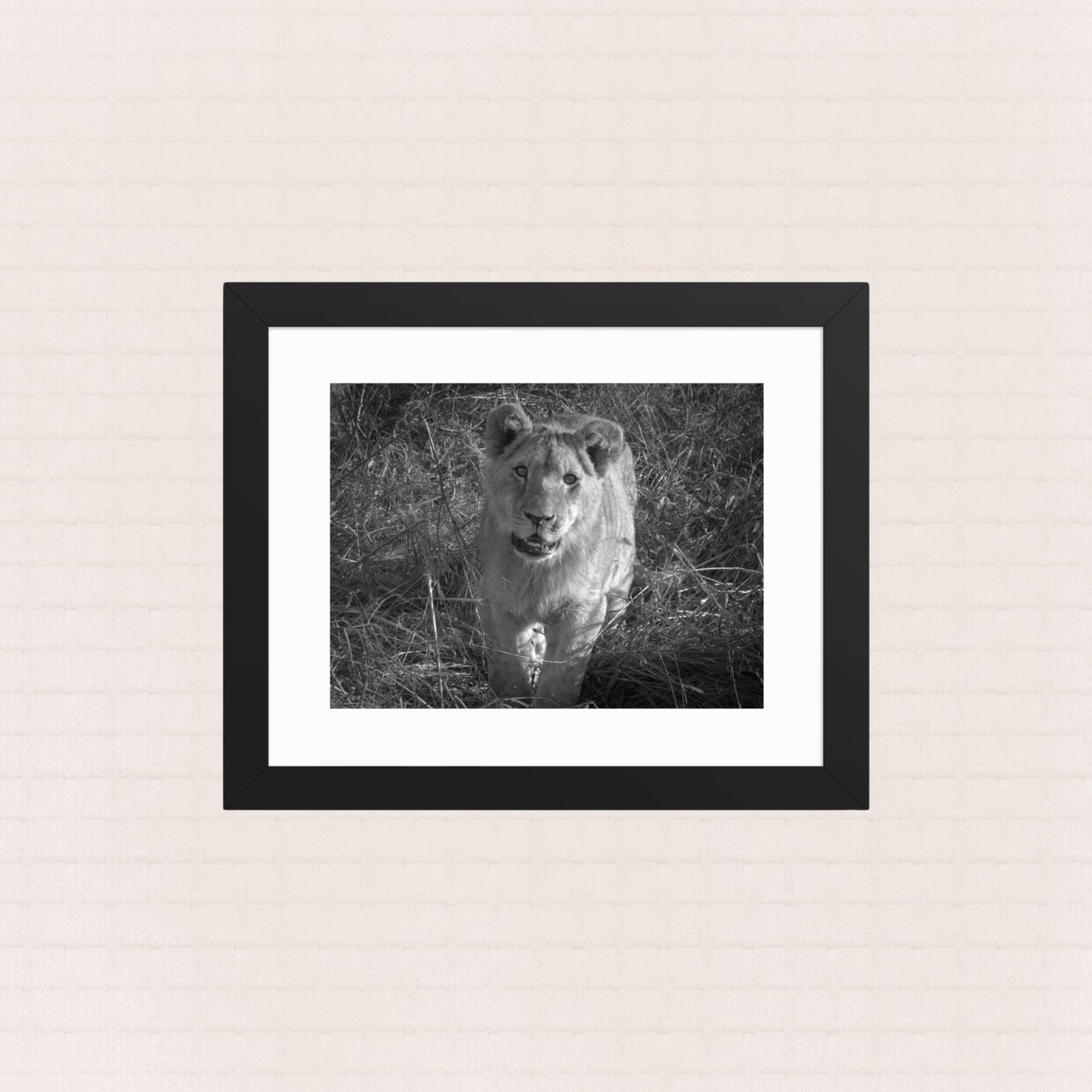 The Unyielding Adolescent- Framed Wildlife Poster