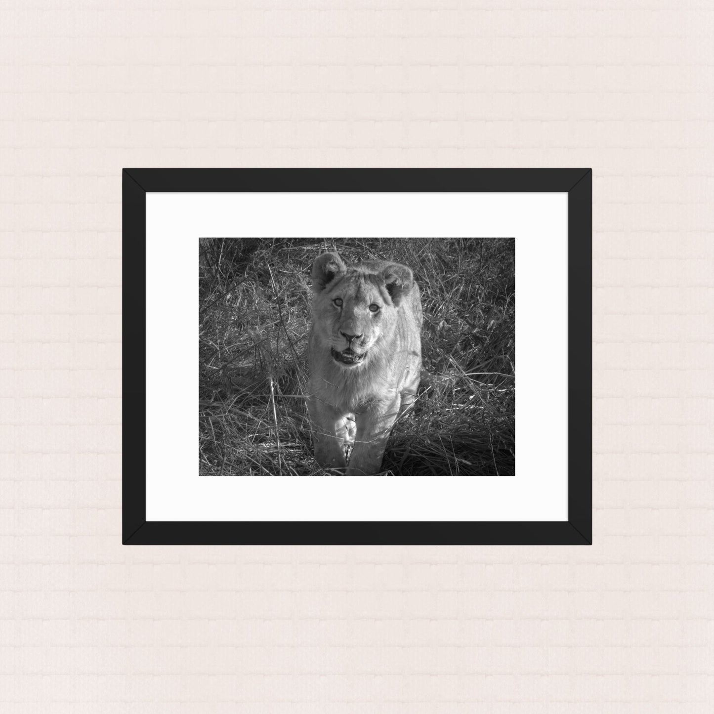 The Unyielding Adolescent- Framed Wildlife Poster