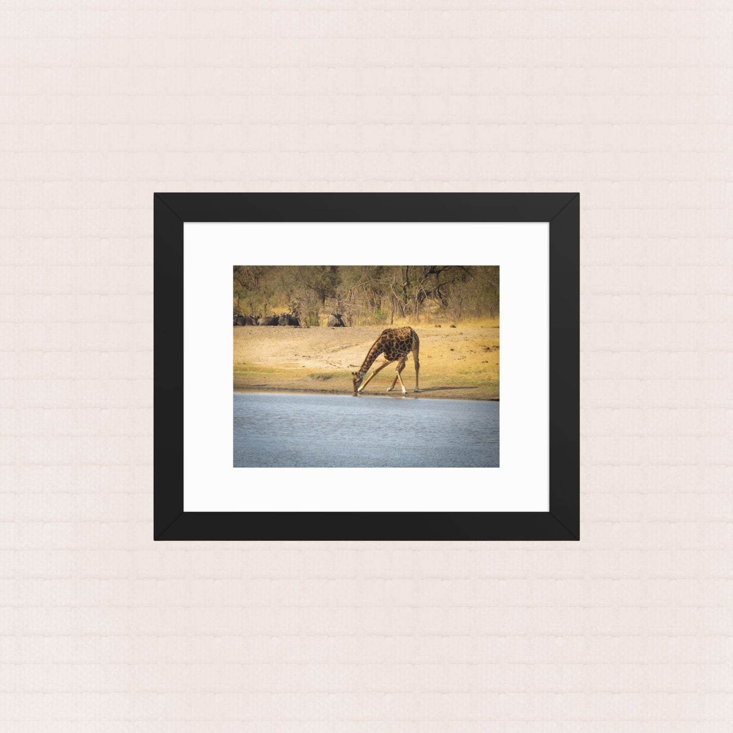 Awkward Sips and Silent Stares- Framed Wildlife Poster