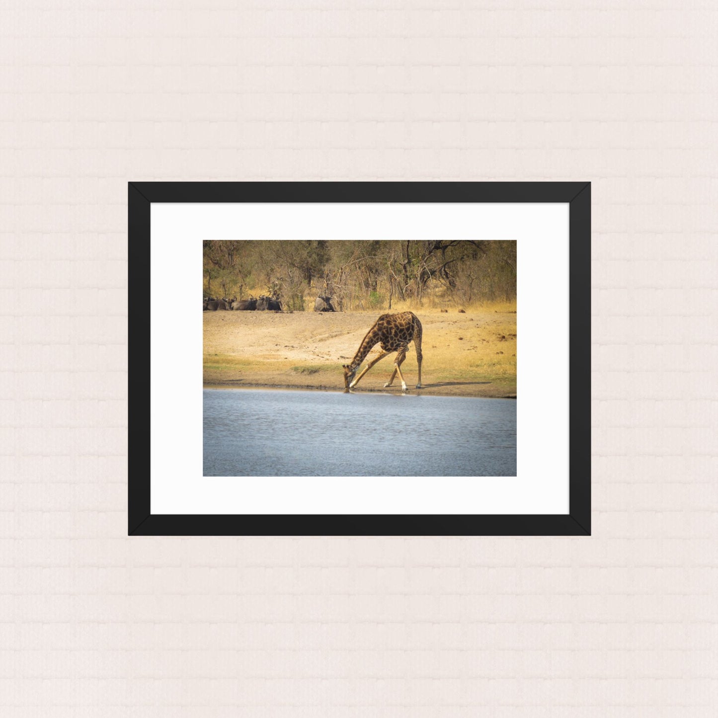 Awkward Sips and Silent Stares- Framed Wildlife Poster