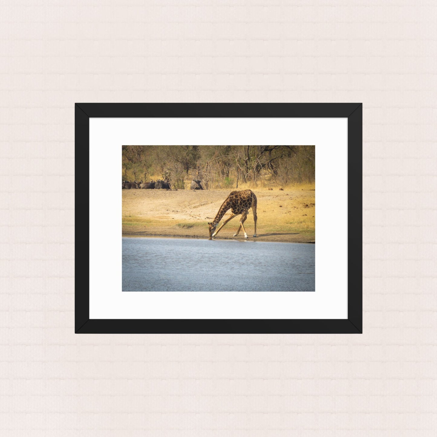 Awkward Sips and Silent Stares- Framed Wildlife Poster