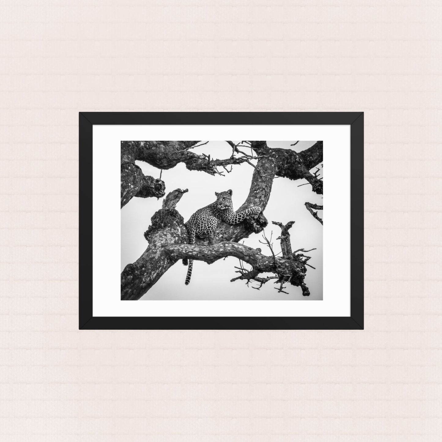 Whisper In The Boughs- Framed Wildlife Poster