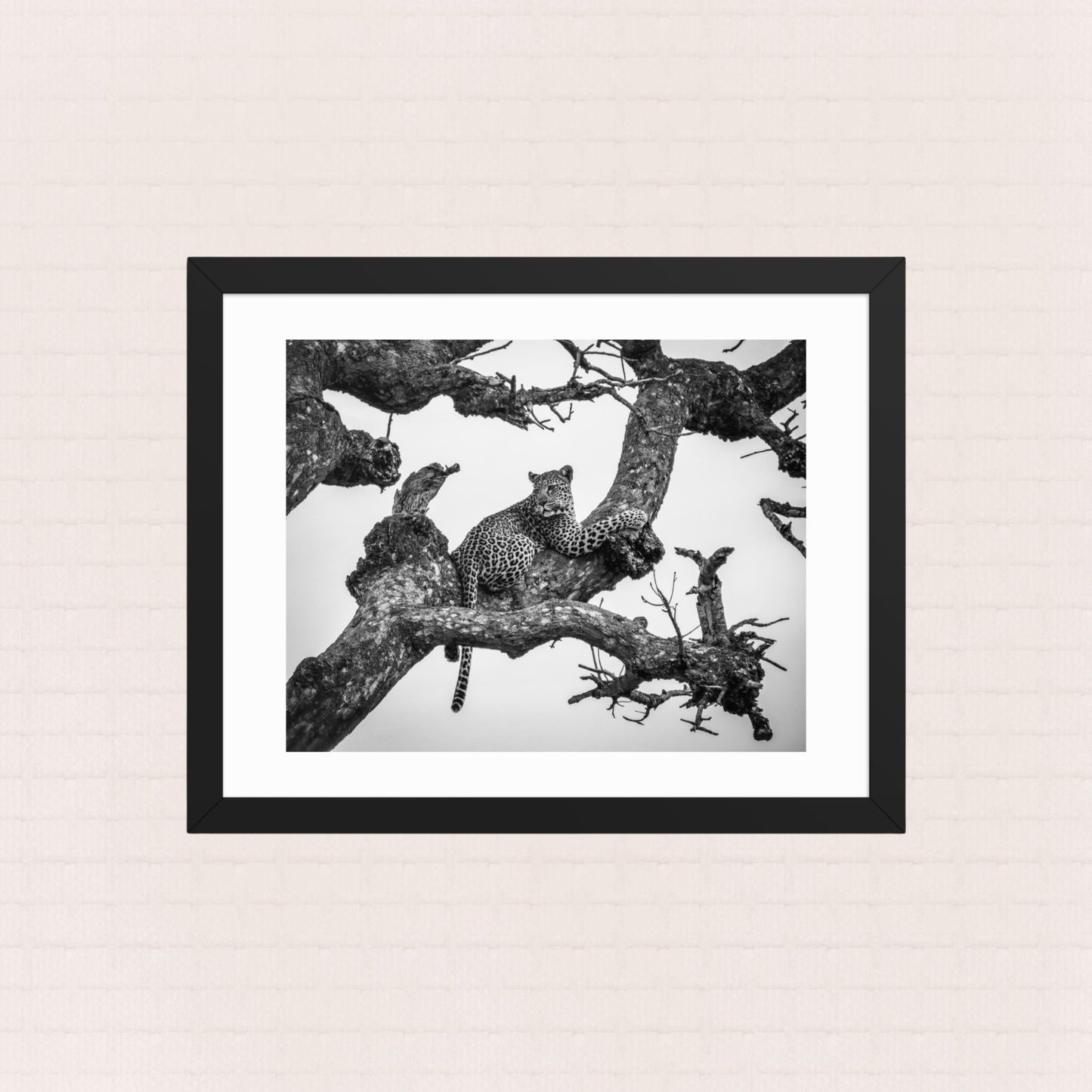 Whisper In The Boughs- Framed Wildlife Poster