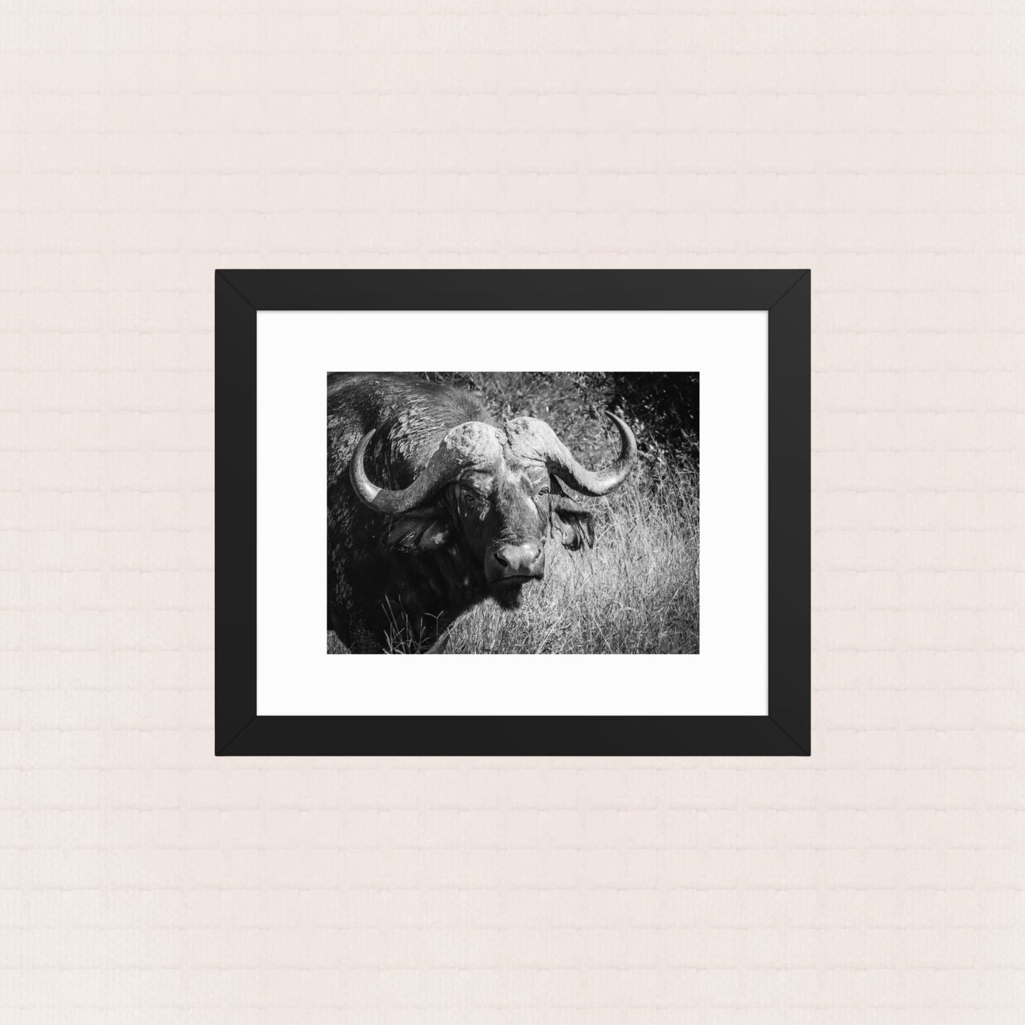 Monolith- Framed Wildlife Poster