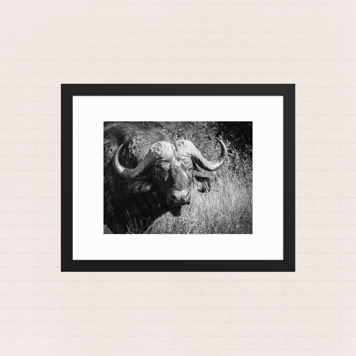 Monolith- Framed Wildlife Poster