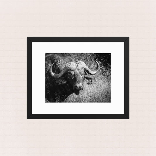 Monolith- Framed Wildlife Poster