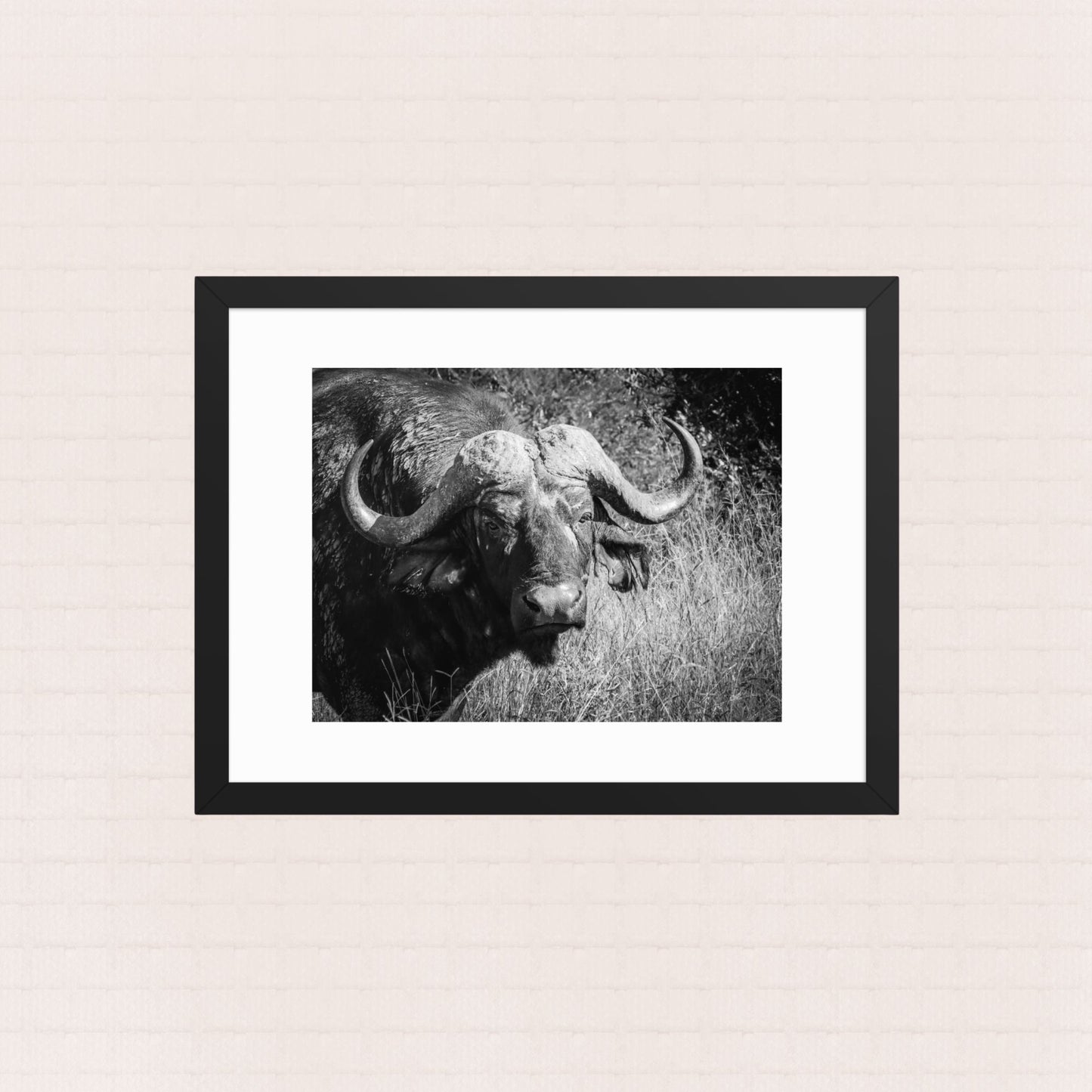 Monolith- Framed Wildlife Poster