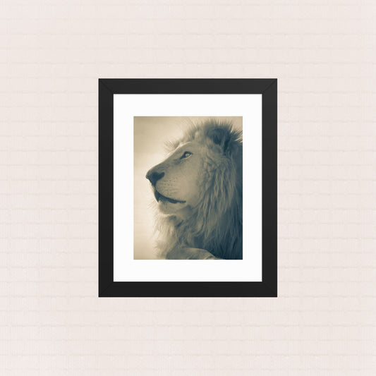 The King's Gaze- Framed Wildlife Poster