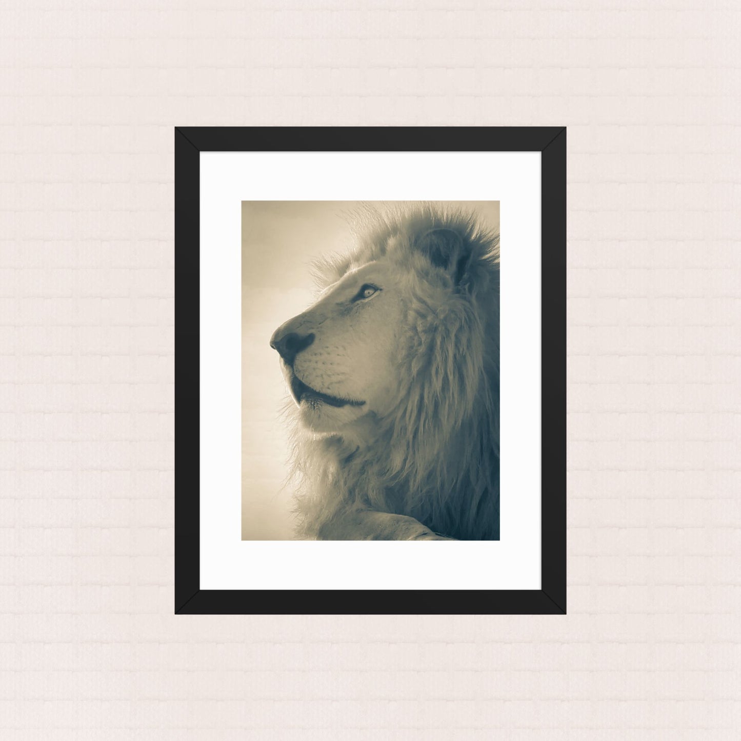 The King's Gaze- Framed Wildlife Poster