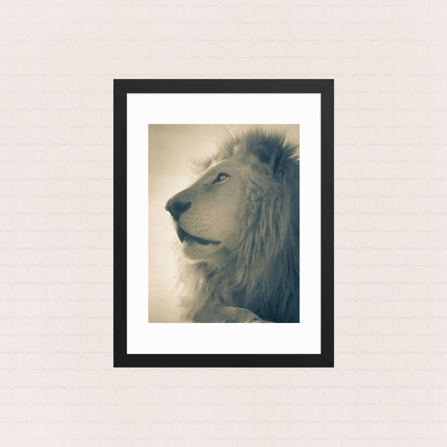 The King's Gaze- Framed Wildlife Poster
