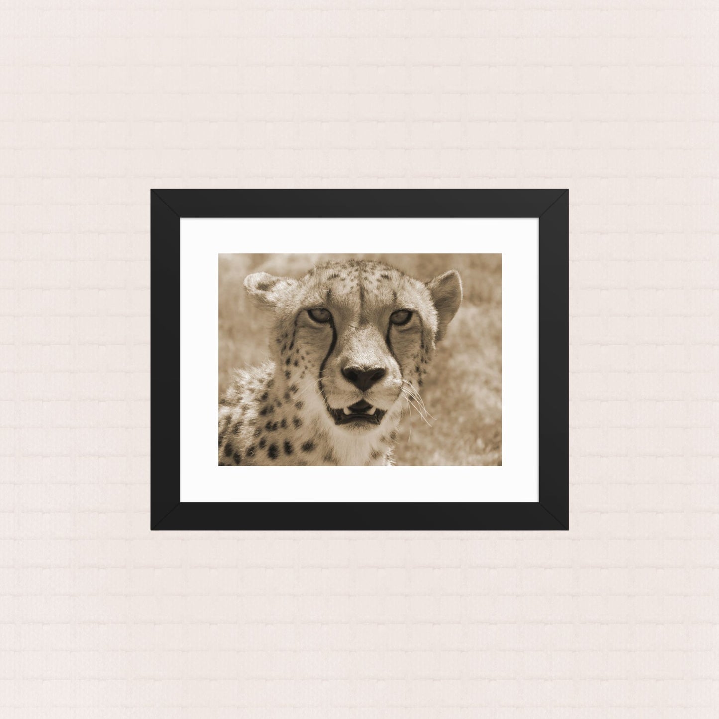 Sepia Gaze- Framed Wildlife Poster