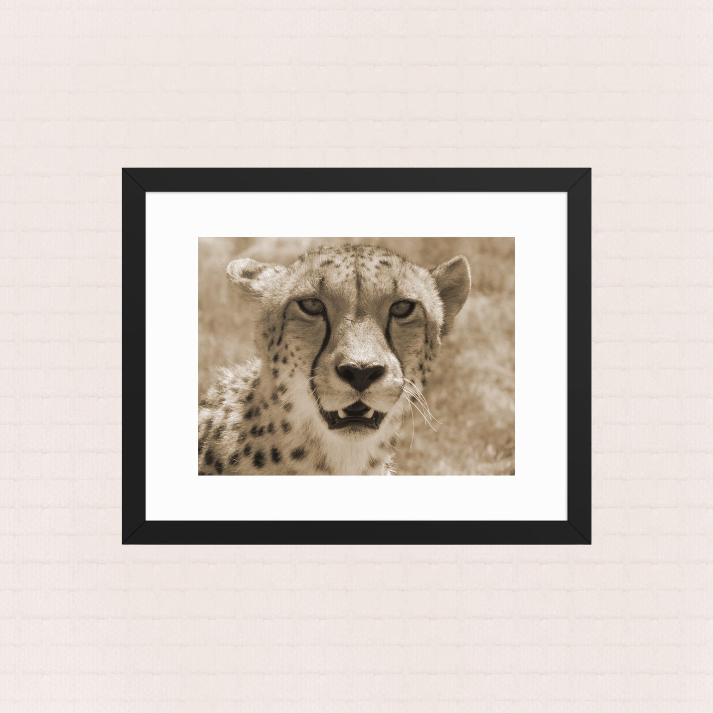 Sepia Gaze- Framed Wildlife Poster