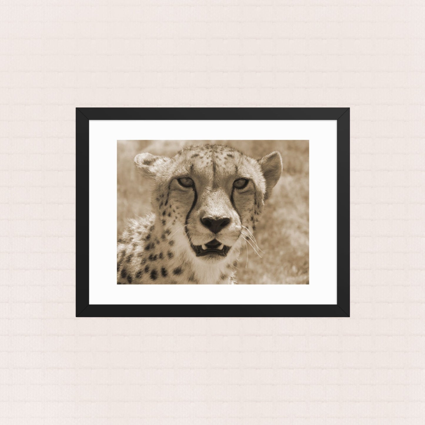 Sepia Gaze- Framed Wildlife Poster