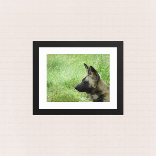 Painted Silence- Framed Wildlife Poster