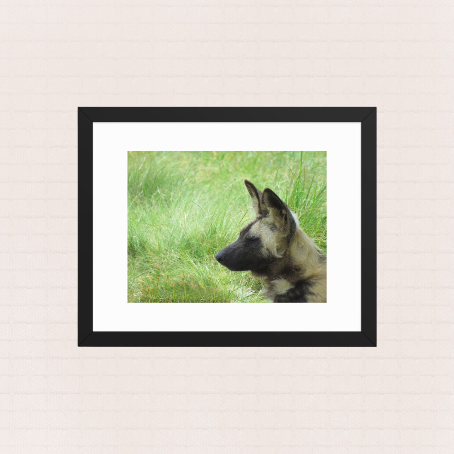 Painted Silence- Framed Wildlife Poster