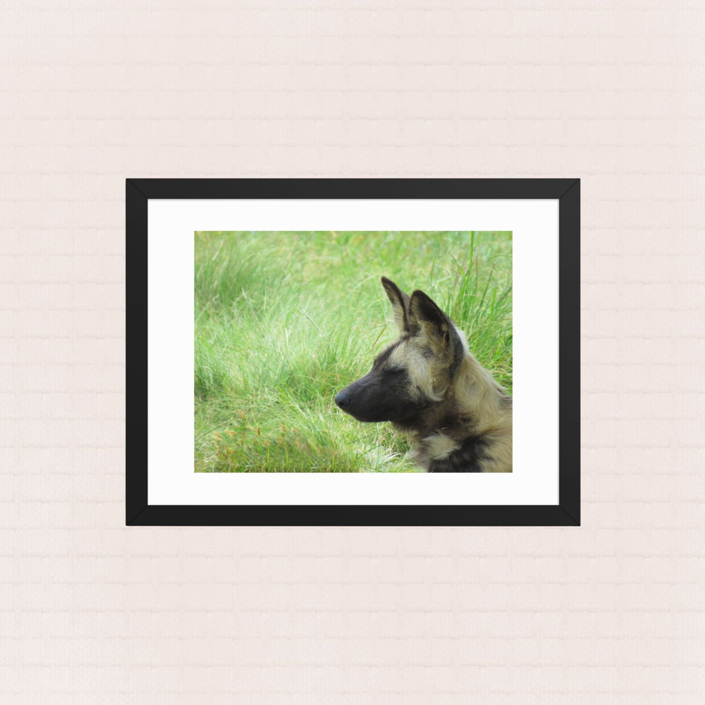 Painted Silence- Framed Wildlife Poster