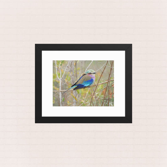 Perched In Colour- Framed Wildlife Poster