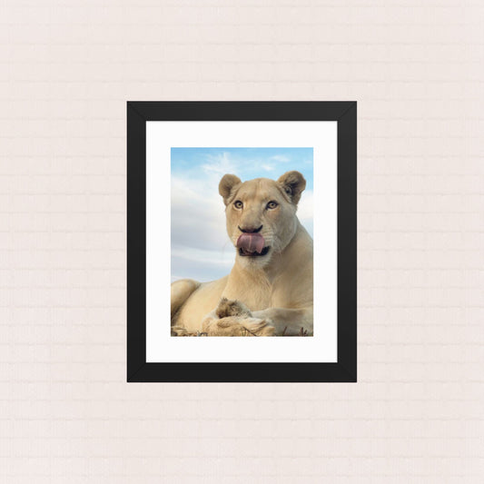 Savouring The Moment- Framed Wildlife Poster
