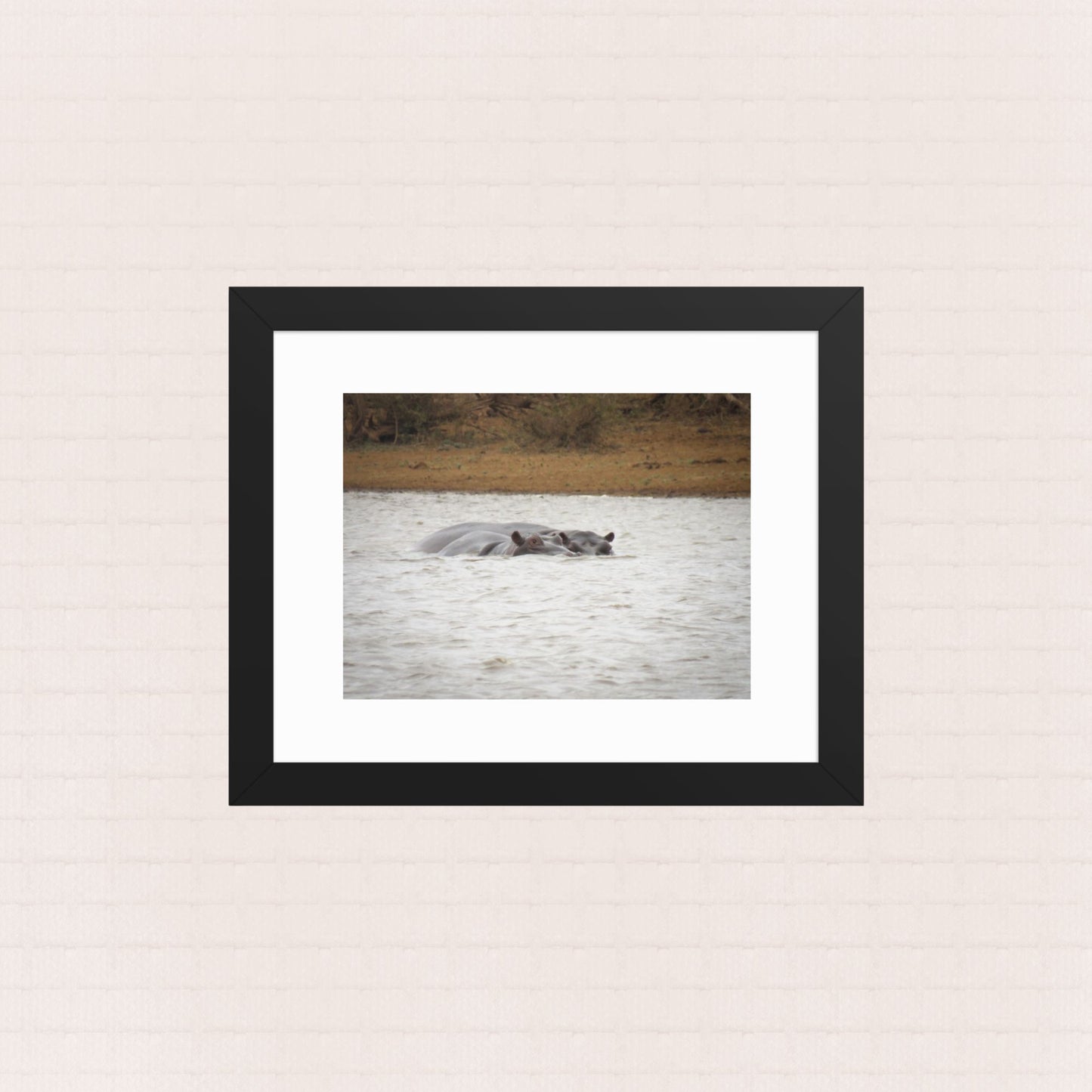 Safe Waters- Framed Wildlife Poster