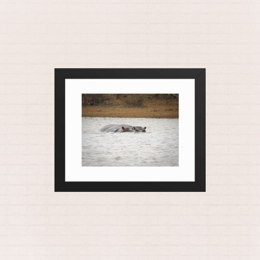 Safe Waters- Framed Wildlife Poster