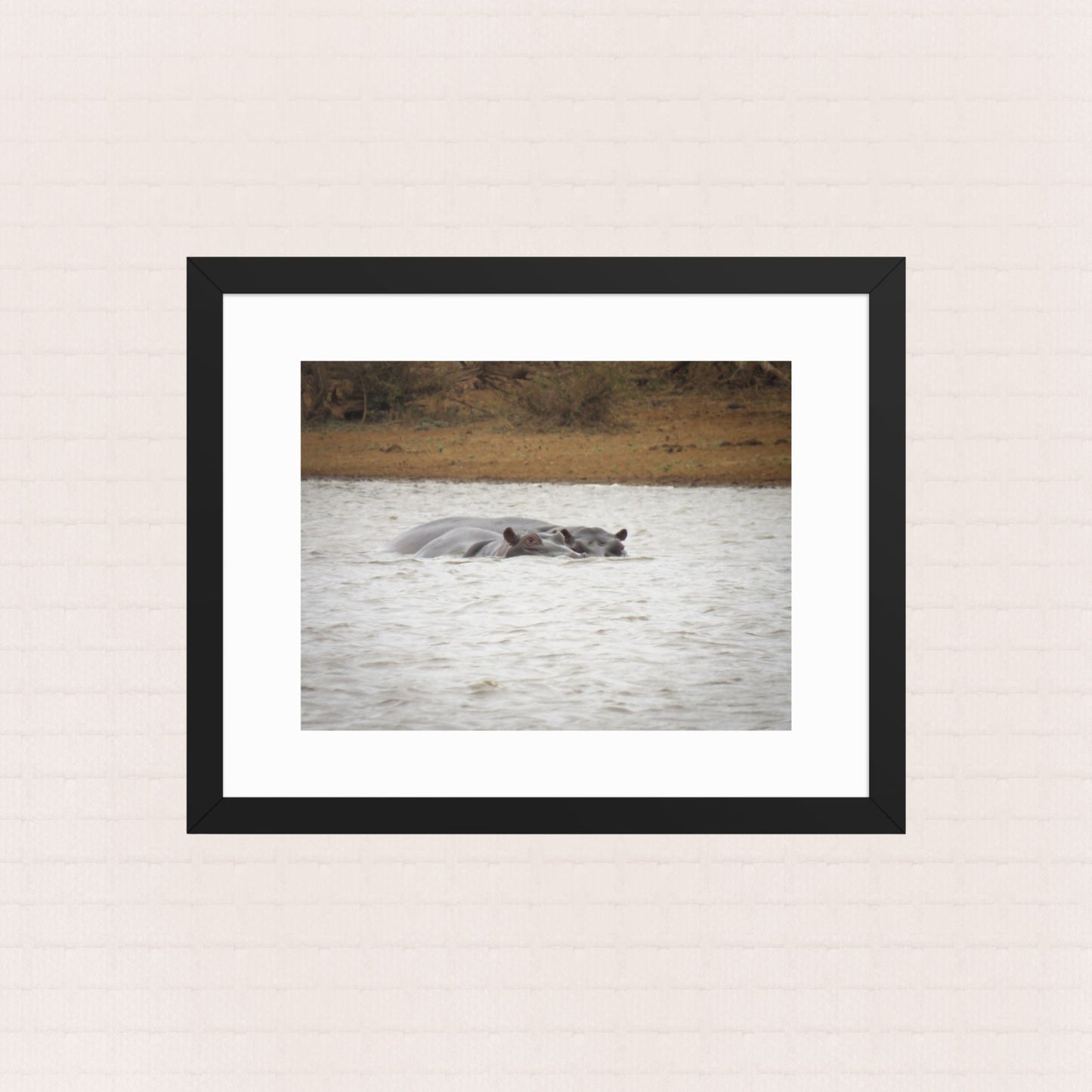 Safe Waters- Framed Wildlife Poster