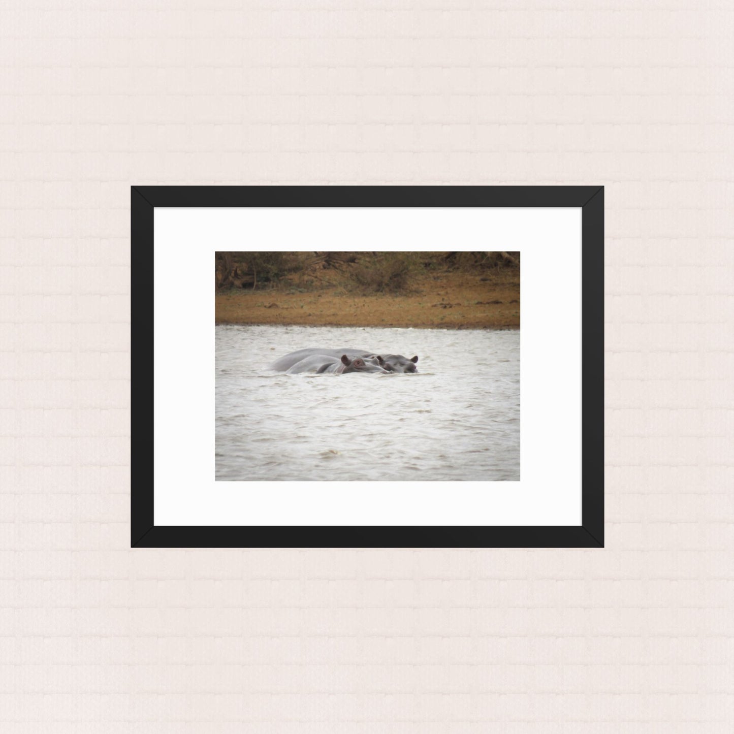 Safe Waters- Framed Wildlife Poster