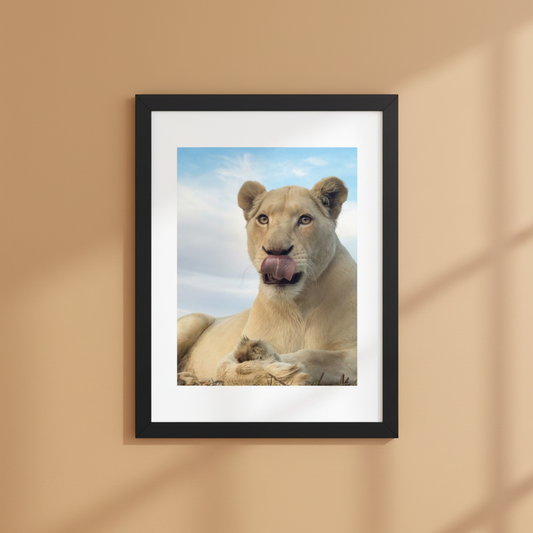 Lioness framed wildlife photography poster