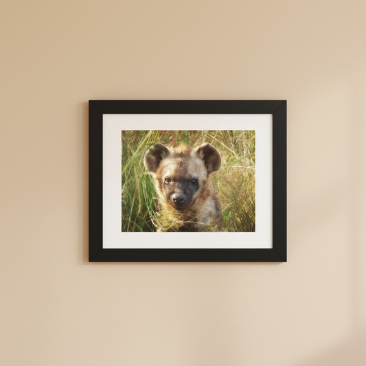 Hyena cub framed wildlife photography poster